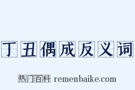 丁丑偶成反义词是什么意思的图片
